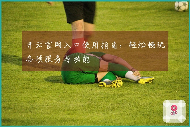 开云官网入口使用指南，轻松畅玩各项服务与功能