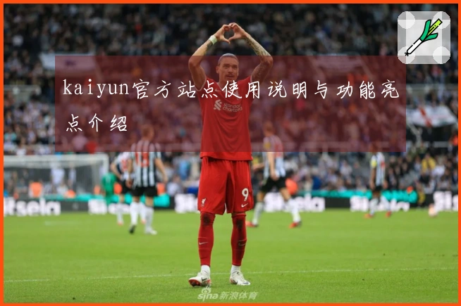 kaiyun官方站点使用说明与功能亮点介绍