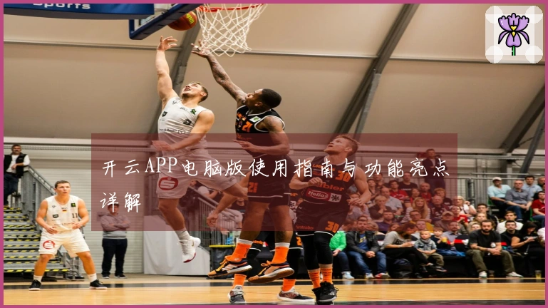 开云APP电脑版使用指南与功能亮点详解