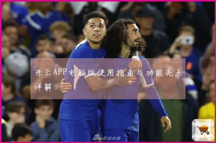 开云APP电脑版使用指南与功能亮点详解